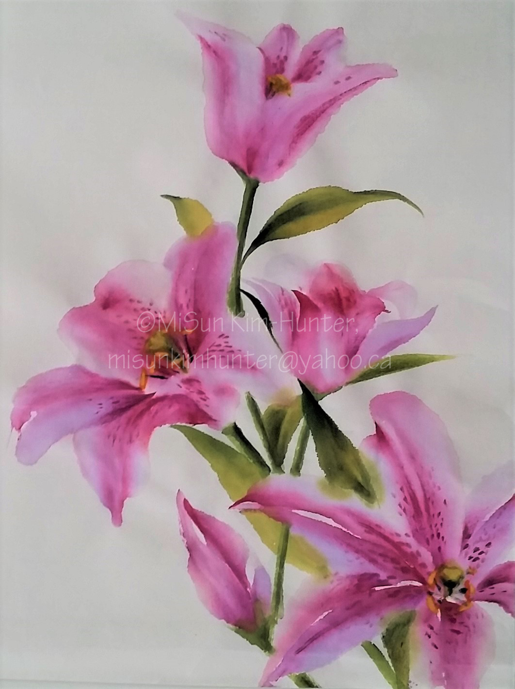 9x11 pink lily